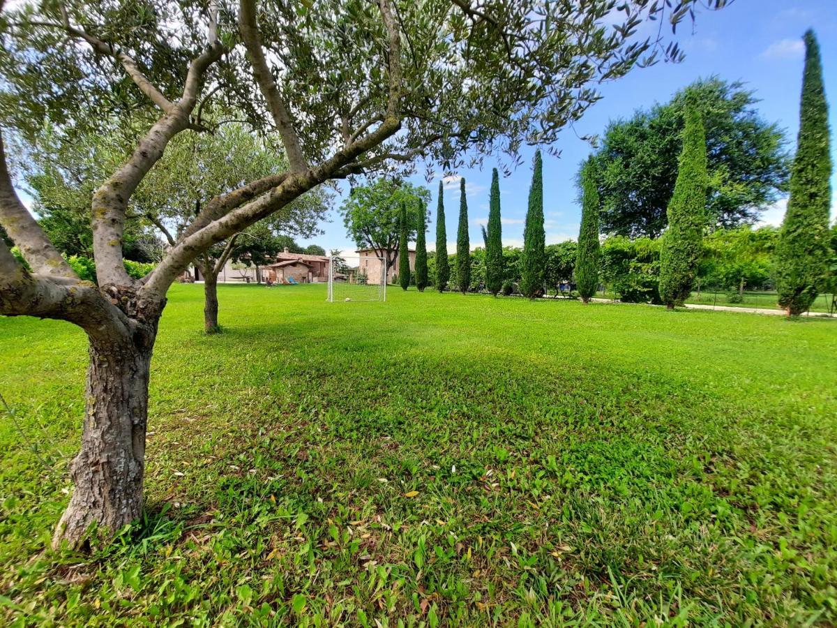 Corte Davini Agriturismo Monzambano Ngoại thất bức ảnh