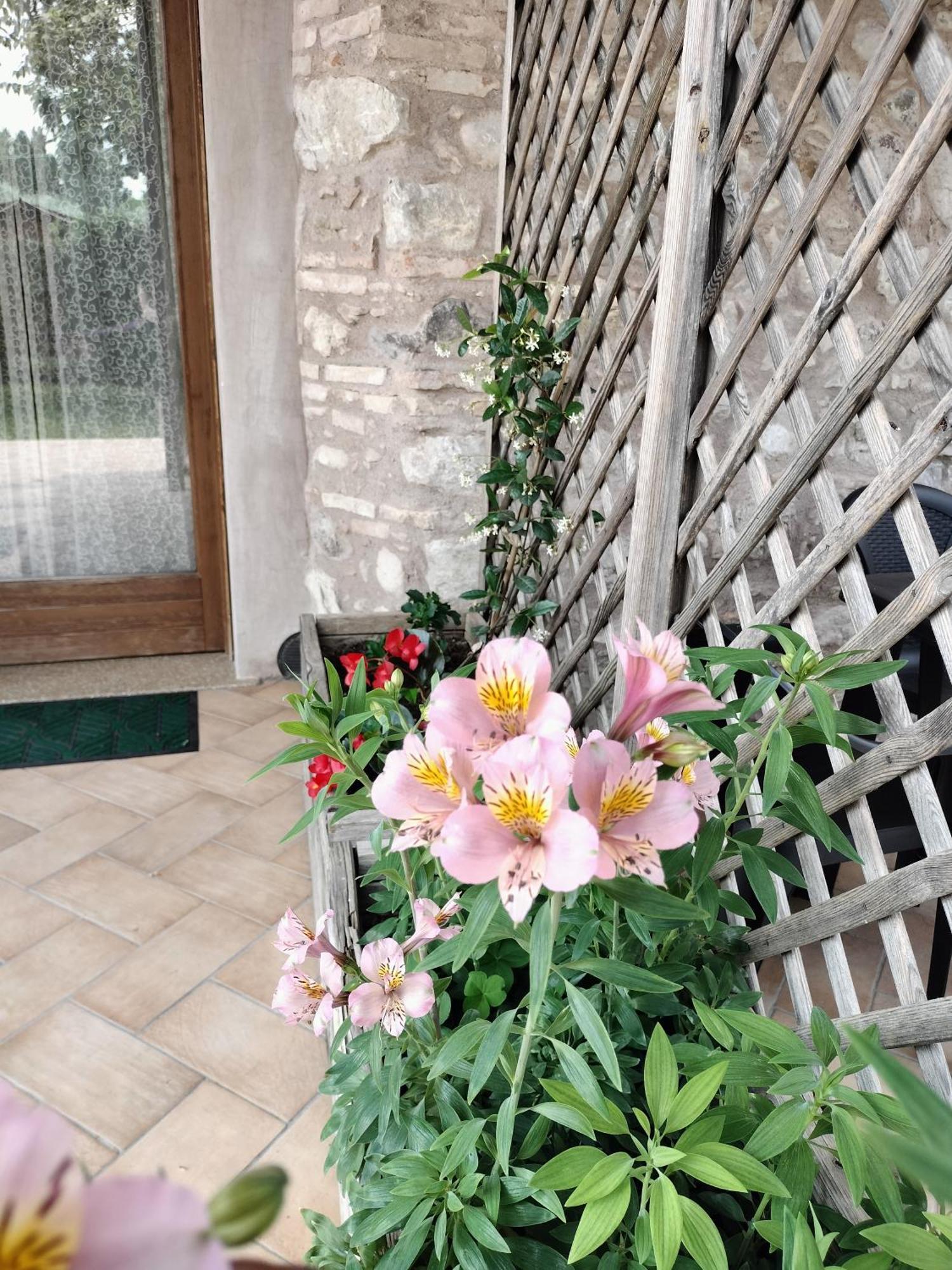 Corte Davini Agriturismo Monzambano Ngoại thất bức ảnh