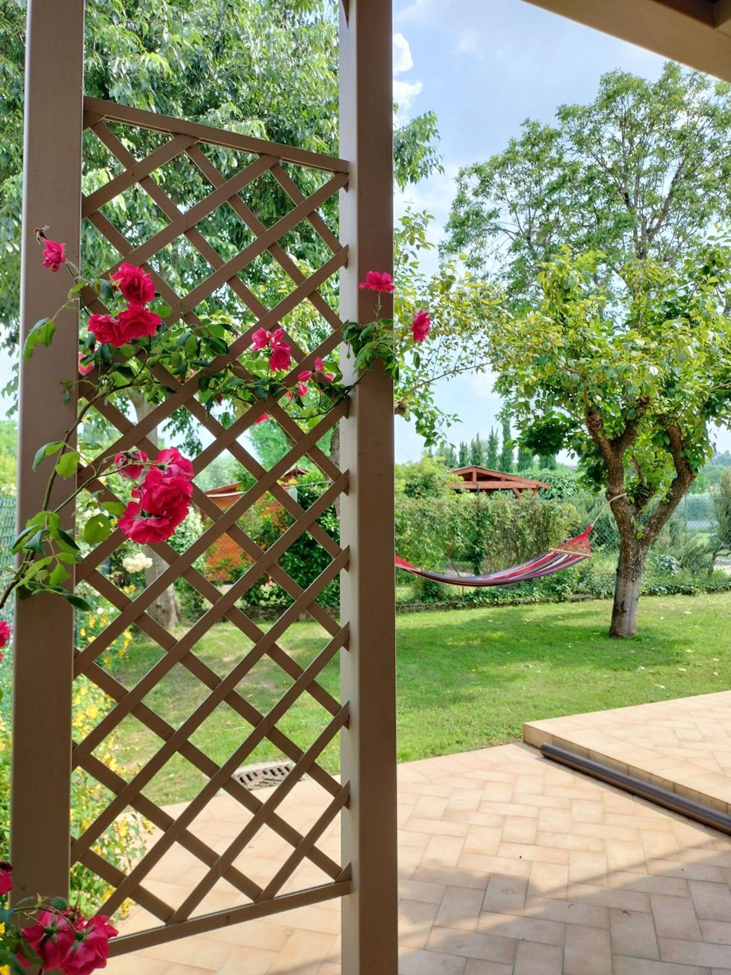 Corte Davini Agriturismo Monzambano Ngoại thất bức ảnh