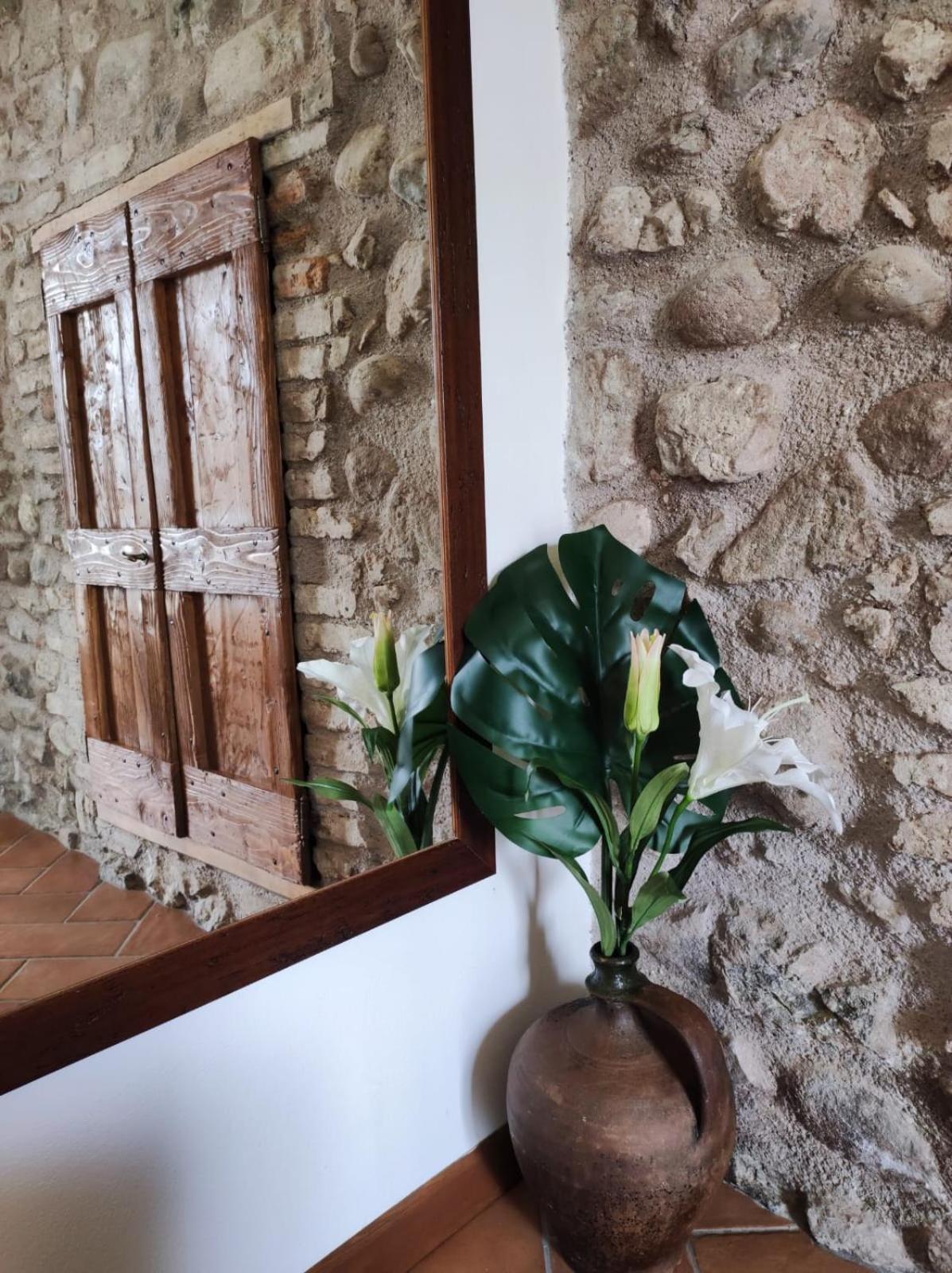 Corte Davini Agriturismo Monzambano Ngoại thất bức ảnh