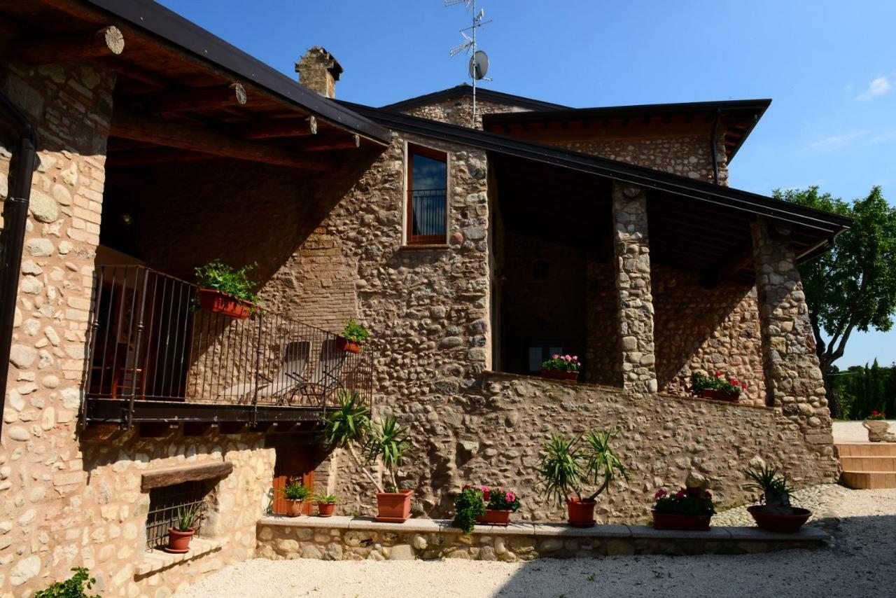 Corte Davini Agriturismo Monzambano Ngoại thất bức ảnh